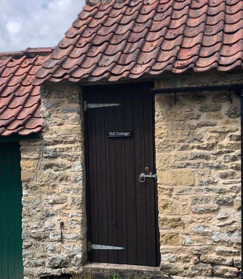 Hill Cottage, Thornton-Le-Dale Торнтън Дейл Екстериор снимка
